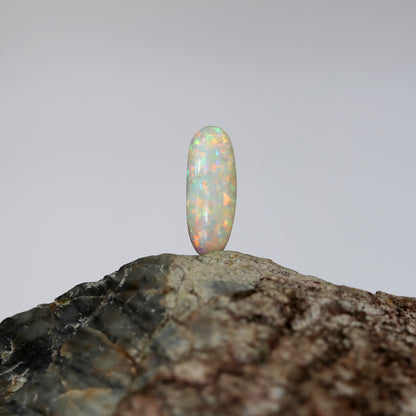 Coober Pedy Unset Belemnite 2.85ct (#1048)